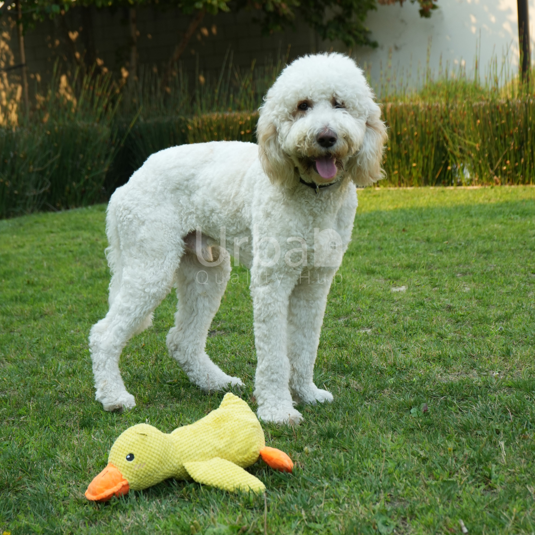 Calming Duck™ Toy for Pets