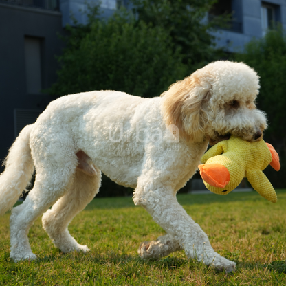 Calming Duck™ Toy for Pets