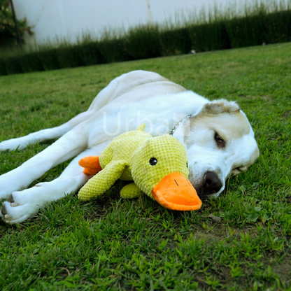 Calming Duck™ Toy for Pets